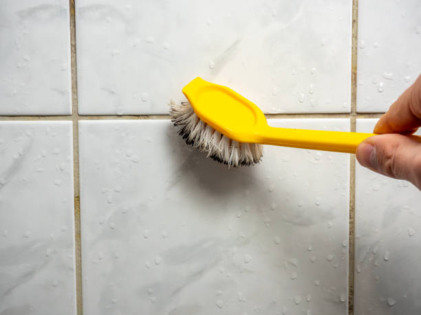 Best Commercial Mold Removal  in Miamitown, OH