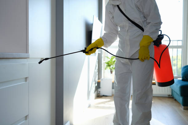 Best Crawl Space Mold Removal  in Miamitown, OH