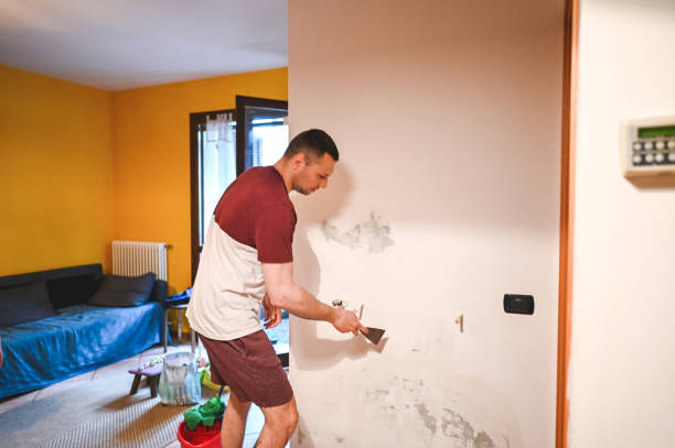 Best Office Mold Removal Services  in Miamitown, OH